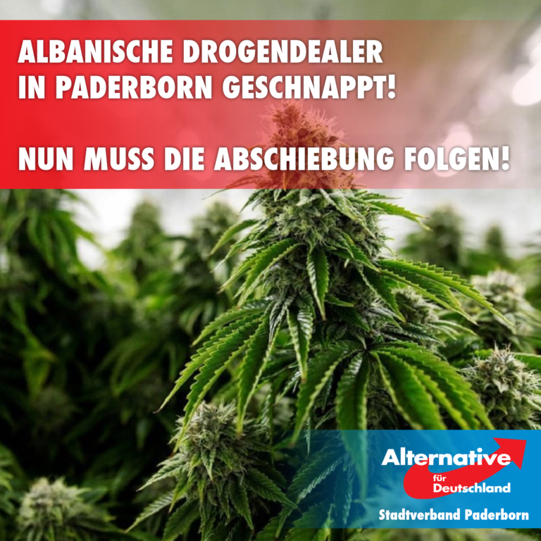 Albanische Drogendealer in Paderborn geschnappt! Nun muss die Abschiebung folgen!